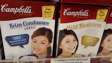 powdered mushroom soup